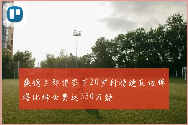 桑德兰即将签下20岁科特迪瓦边锋塔比转会费达350万镑