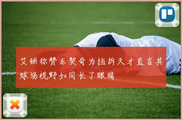 艾顿称赞东契奇为挡拆天才直言其球场视野如同长了眼睛